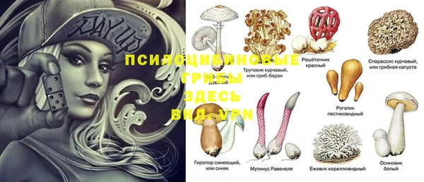 мяу мяу мука Армянск