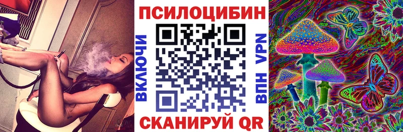 Псилоцибиновые грибы GOLDEN TEACHER Купить где Севастополь