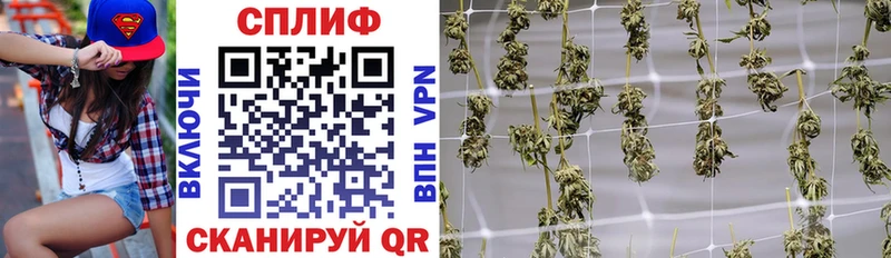 Конопля AK-47  Купить где  Севастополь 